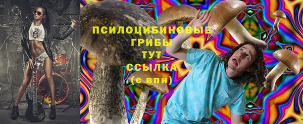 MDMA Верхний Тагил