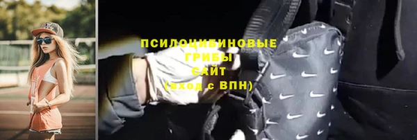 сатива Покровск