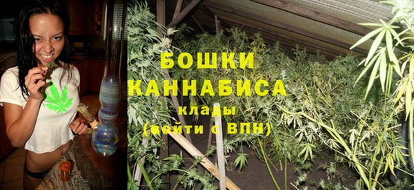 сатива Покровск