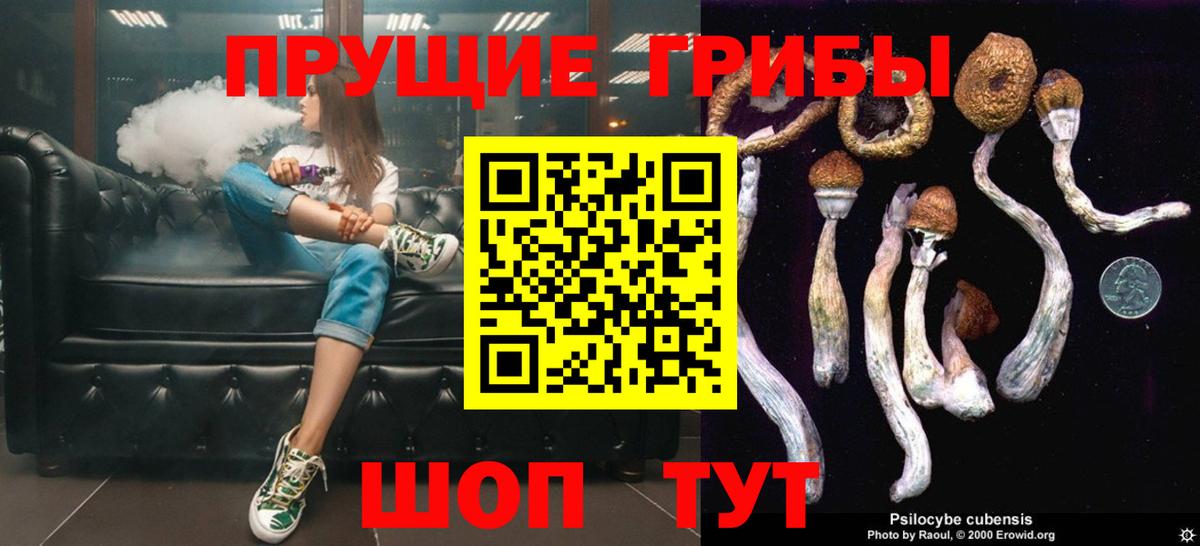 Псилоцибиновые грибы Psilocybe Алексин